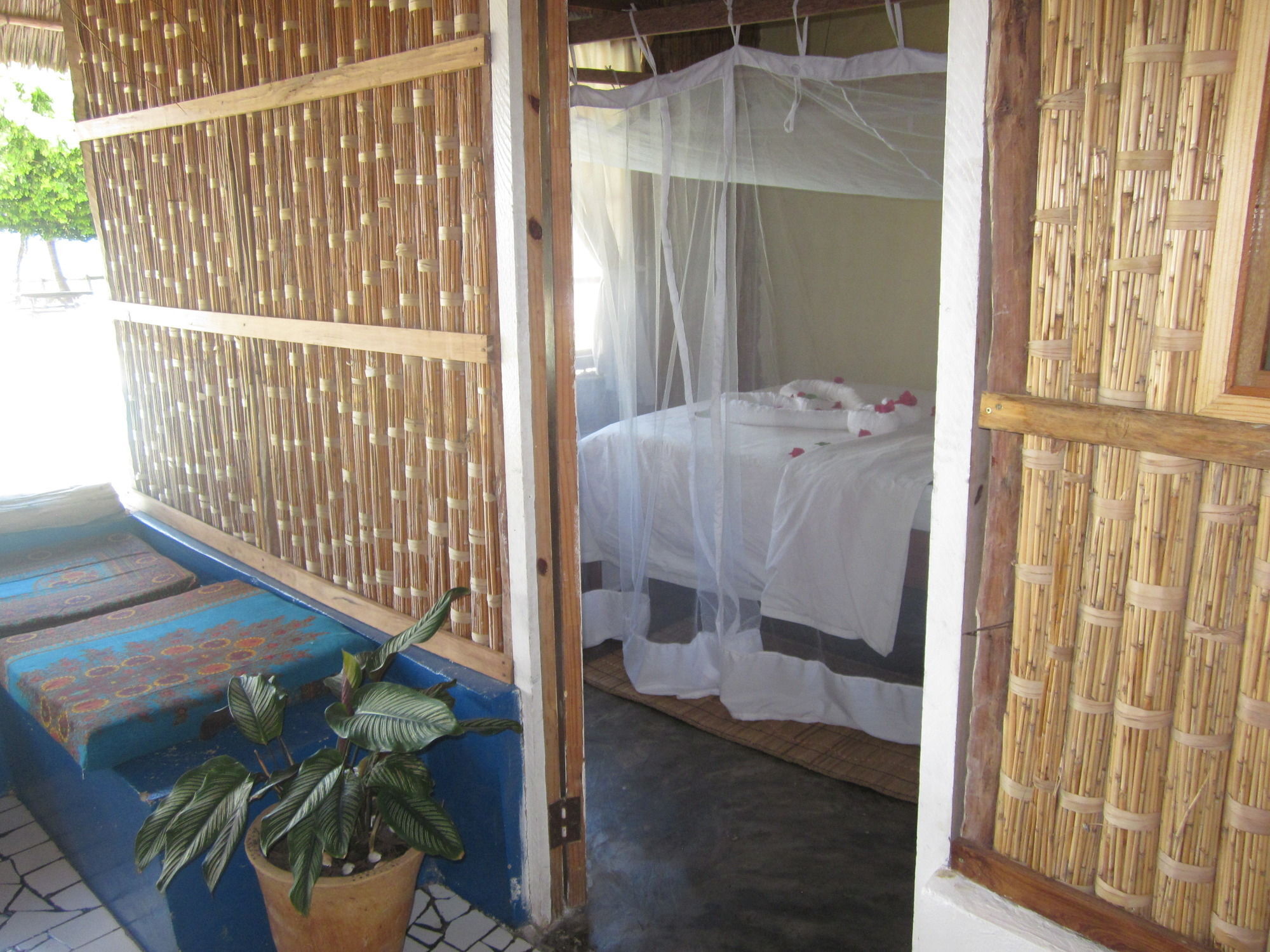 Baobab Beach Lodge And Backpackers Vilanculos Ngoại thất bức ảnh