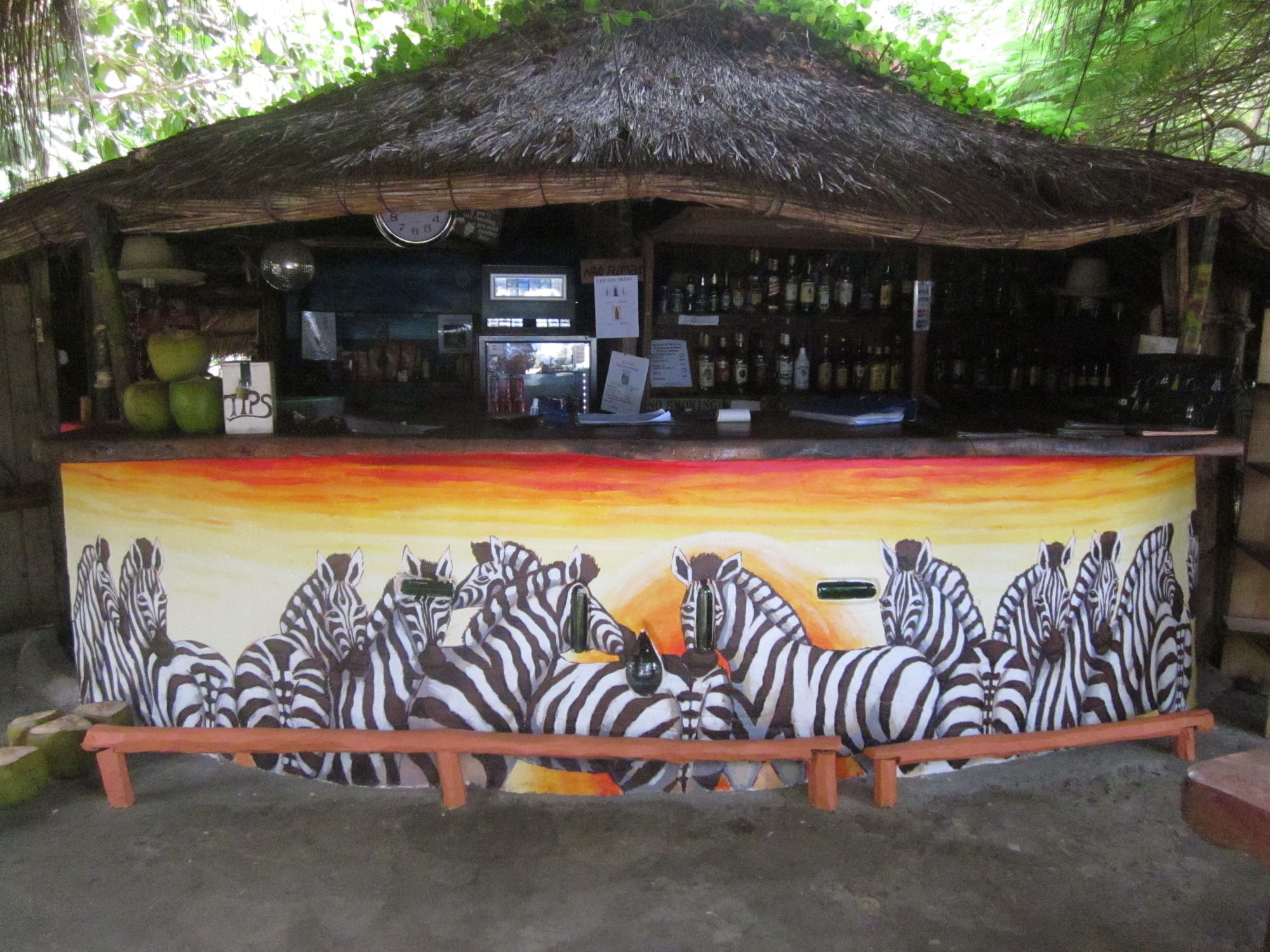 Baobab Beach Lodge And Backpackers Vilanculos Ngoại thất bức ảnh